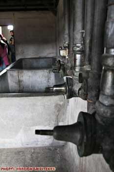 IMG_ (10833)